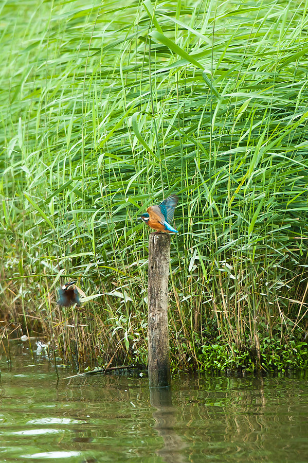 20100911 32029 [NIKON D3] 550 mm,1 125 Sek. bei f   5,6