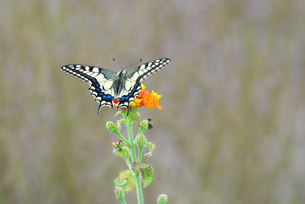 20101021-DSC_0419.jpg