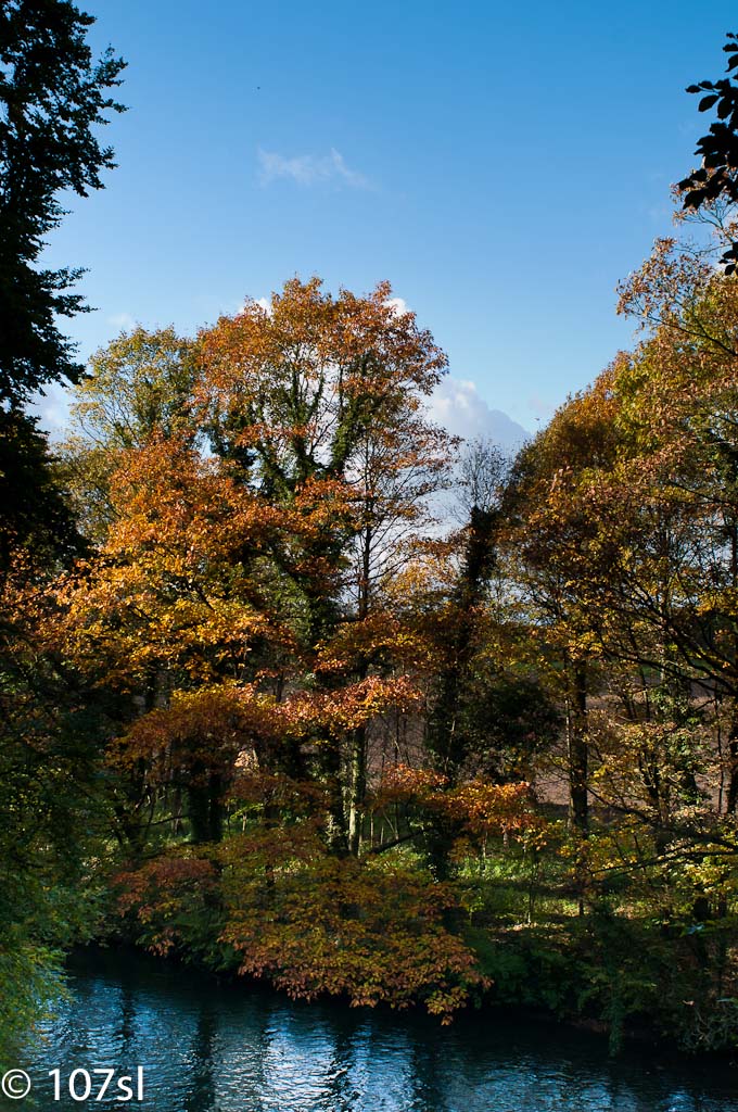 20101024 6863 Nikkor 28mm 2.8
