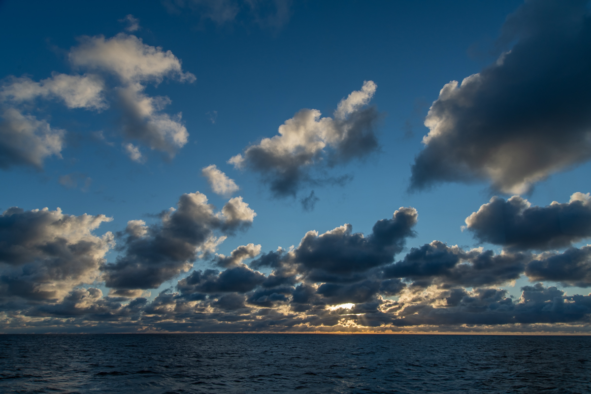 201011 AL546 NF-F-1.jpg