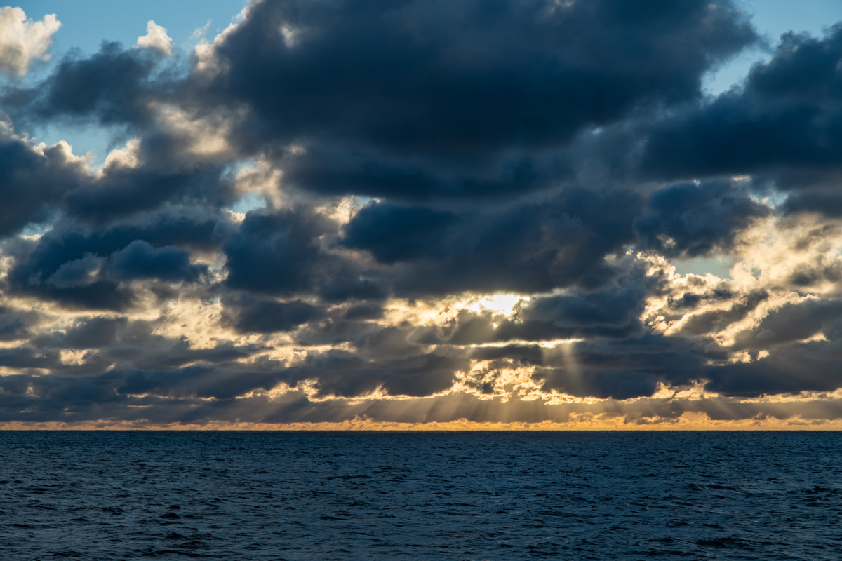 201011 AL546 NF-F-2.jpg