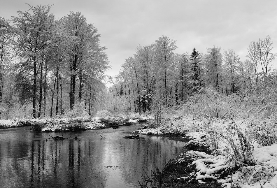 20101126 103411 copy