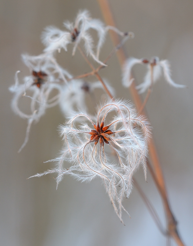 20101202 170022