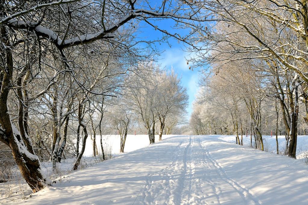 20101218 112226 01