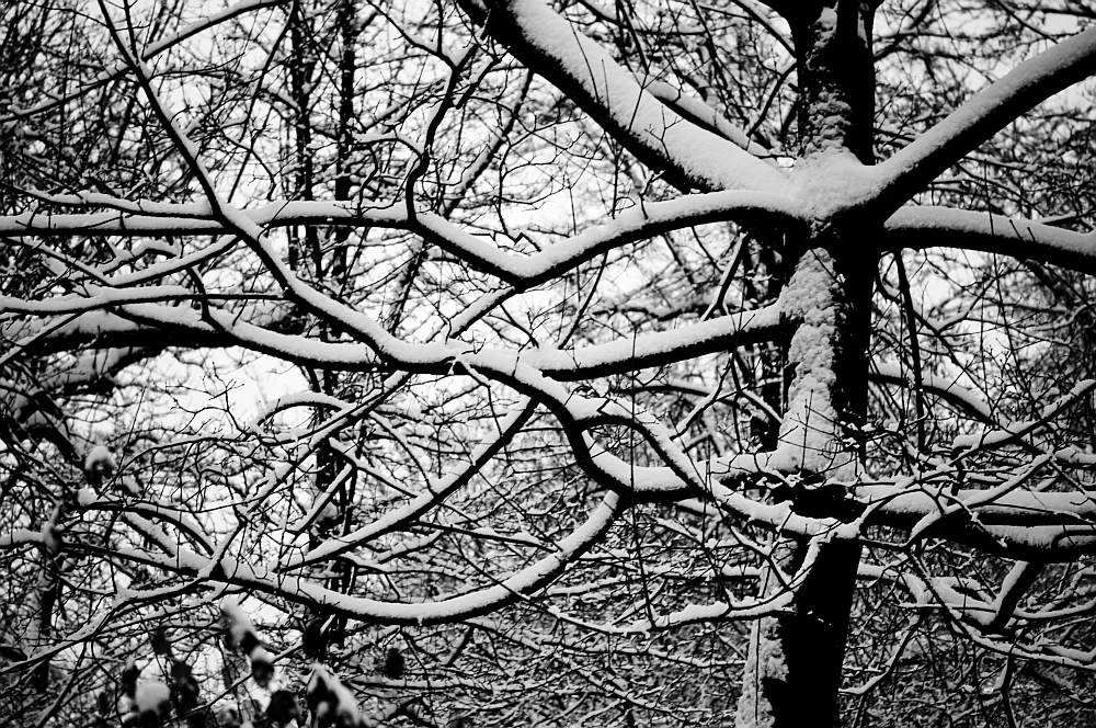 20101228 081240