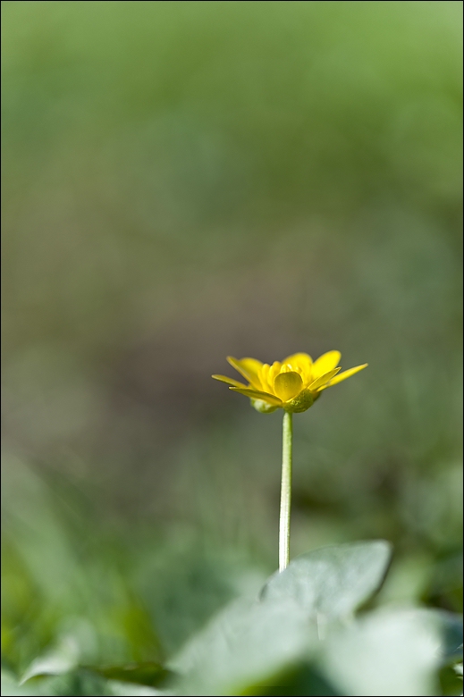 2011 04 03 10 22 49