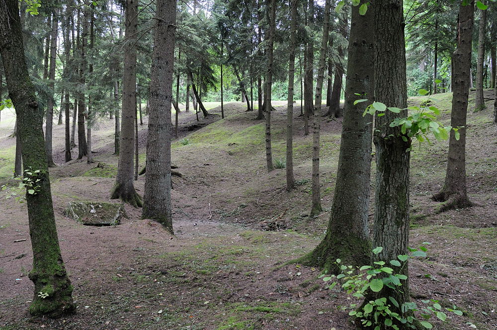 2011 07 13 15 59 20 D30 0173