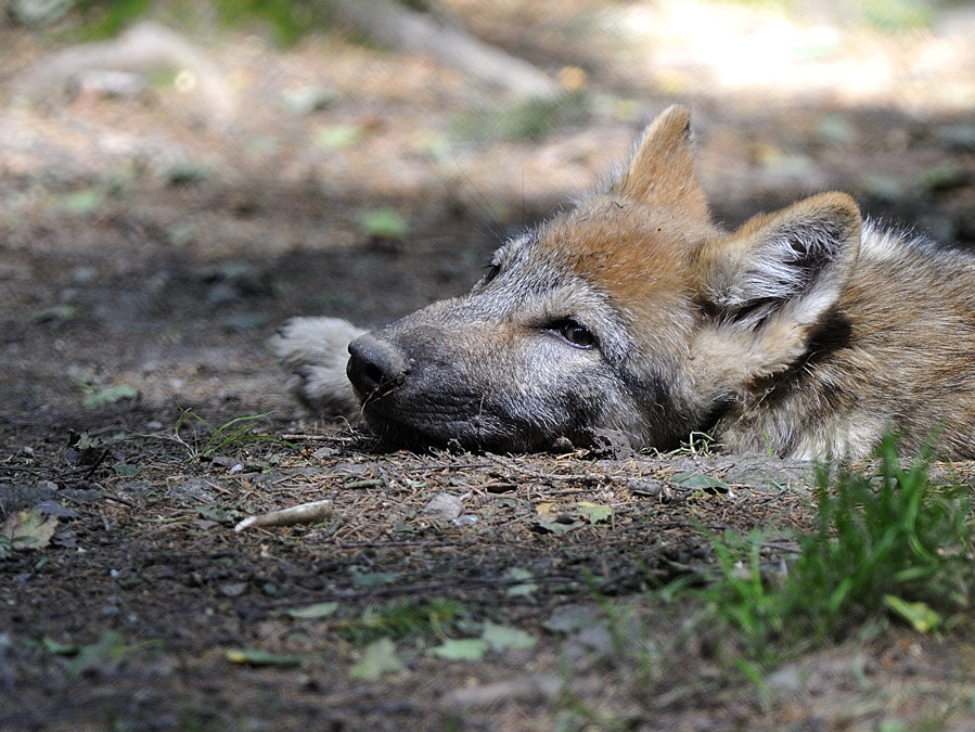 2011 08 12 0047