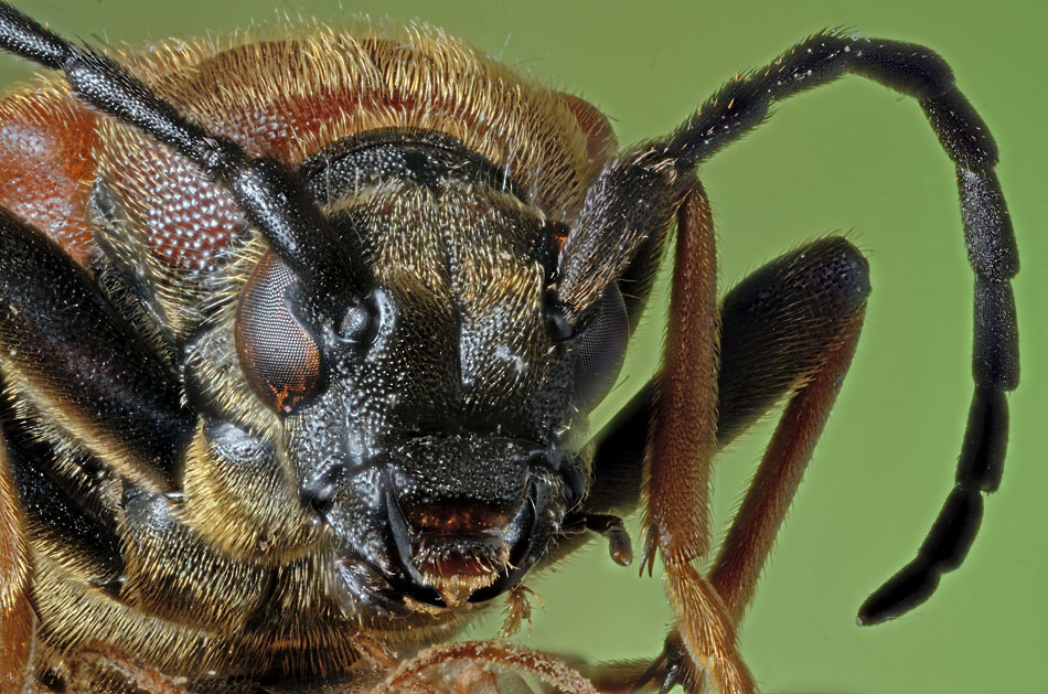 2011 08 25 23.38.43 ZS PMax