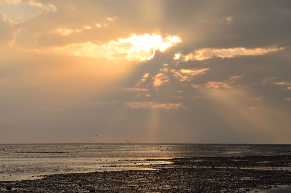 2011 09 16 19 07 31 DSC 3671 cnx2