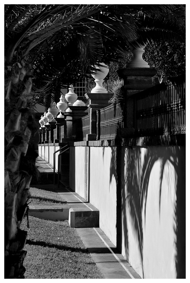 2011 11 Teneriffa LaLaguna DSE 8274 sw klein