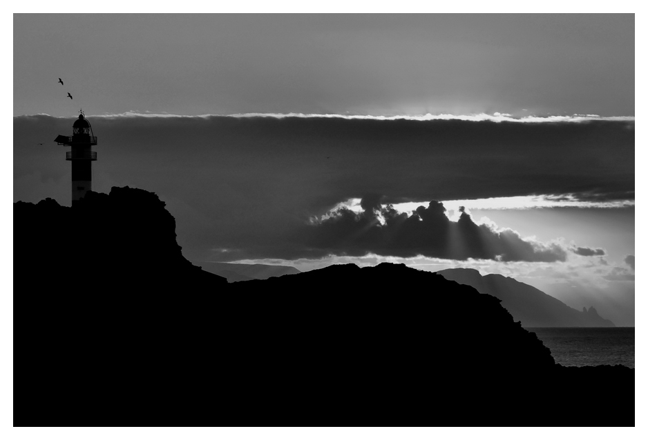 2011 11 Teneriffa PuntaTeno DSE 8569 sw