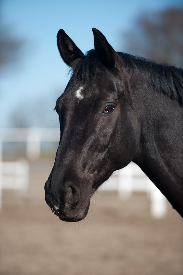 20110307 DSC 0050