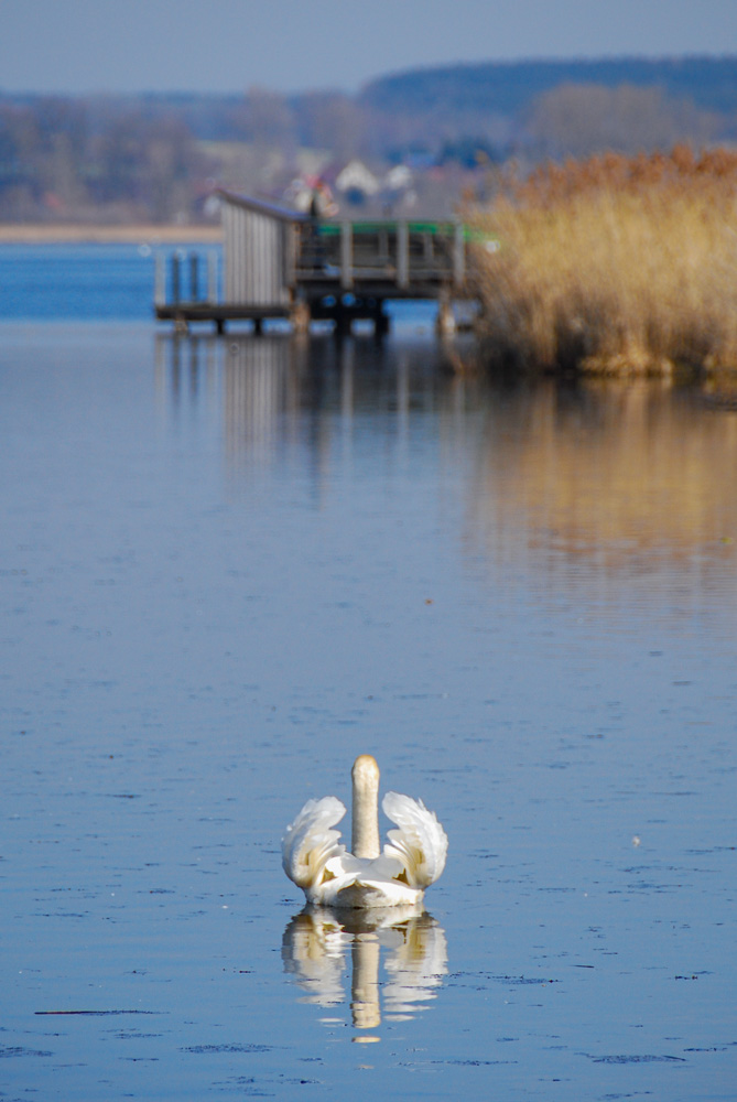 20110312-DSC_0533.jpg