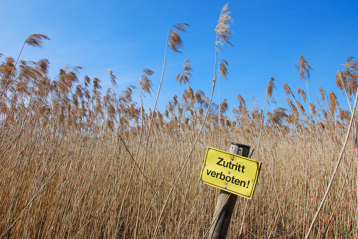 20110312-DSC_0534.jpg