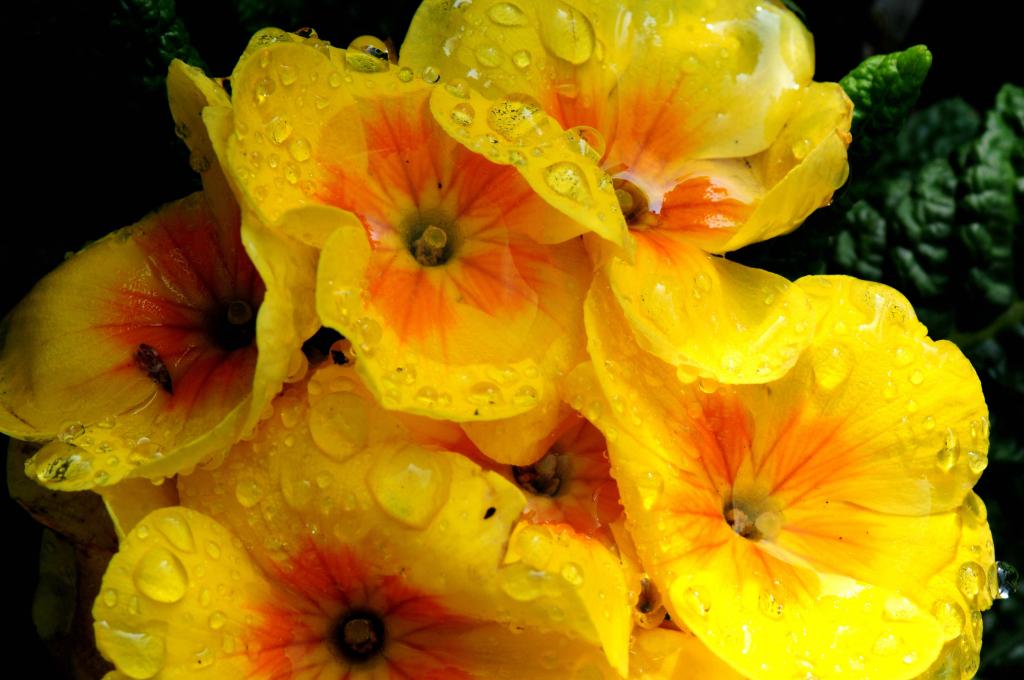 20110327 145434