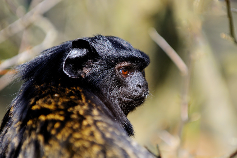 20110402 07 Zoo Rostock