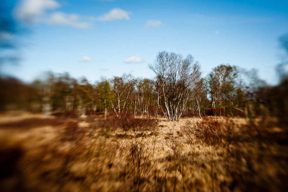 20110413 1TH 1661