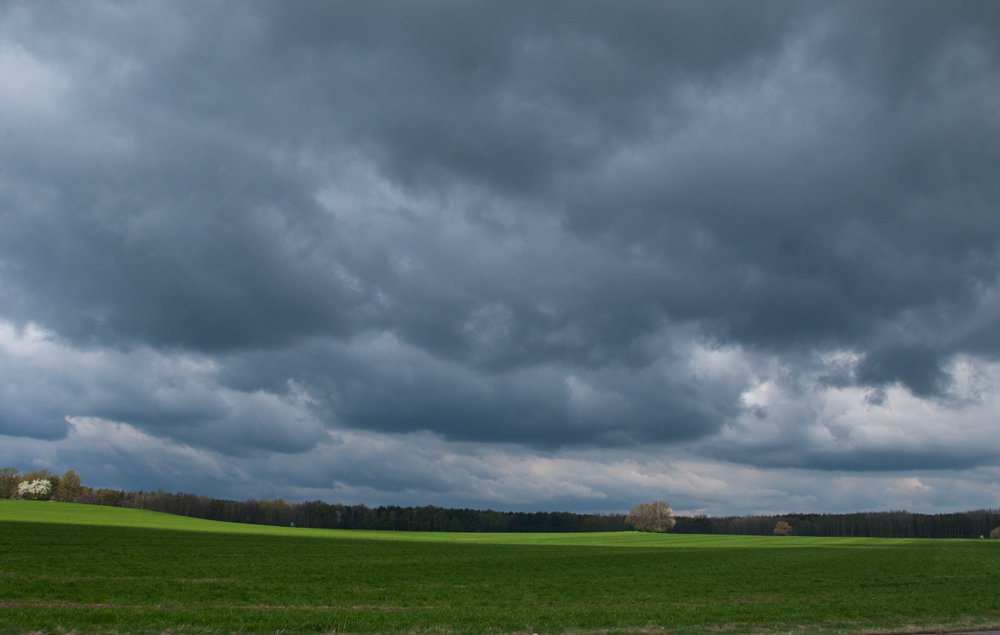 20110415  DSC6462 Aprilstimmung 2