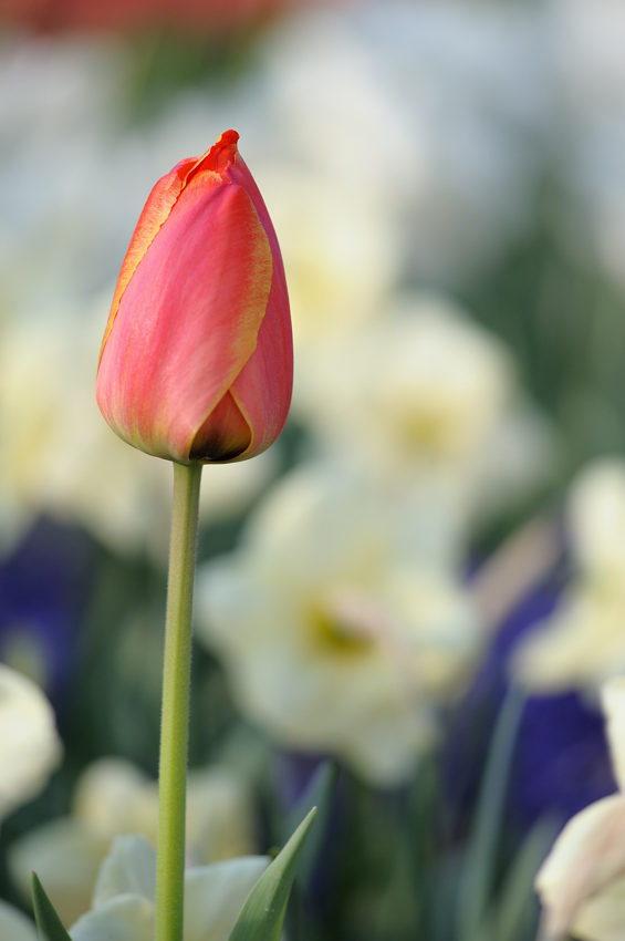 20110416 073457