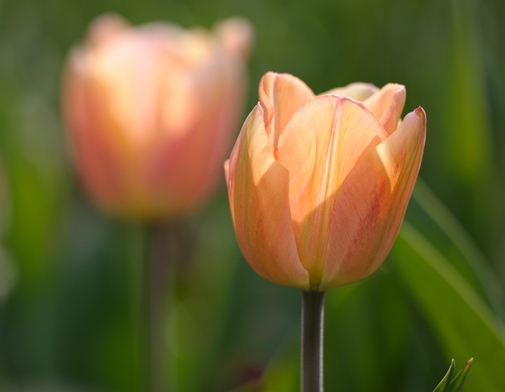 20110416 154637