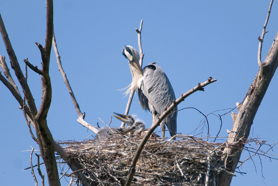 20110506 DSC 8195