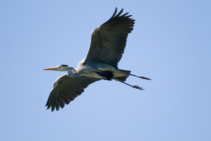 20110506 DSC 8225