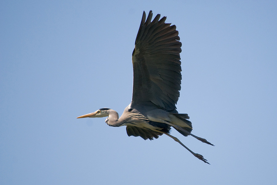 20110506 DSC 8226