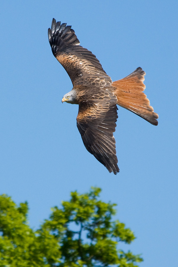 20110507 DSC 8343