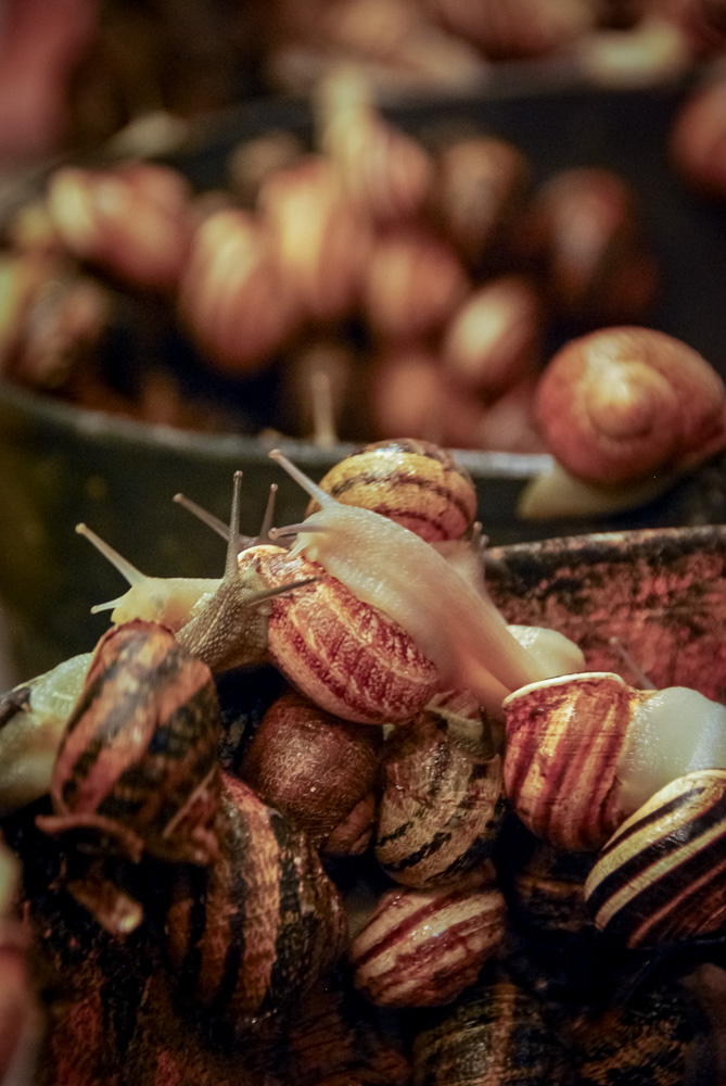 20110507-DSC_0769.jpg