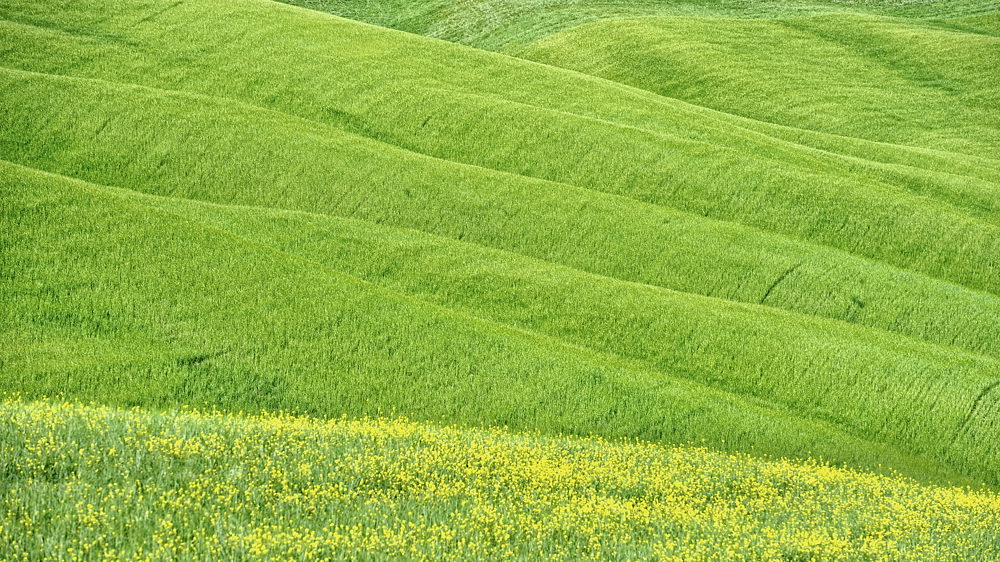 2011051309403833