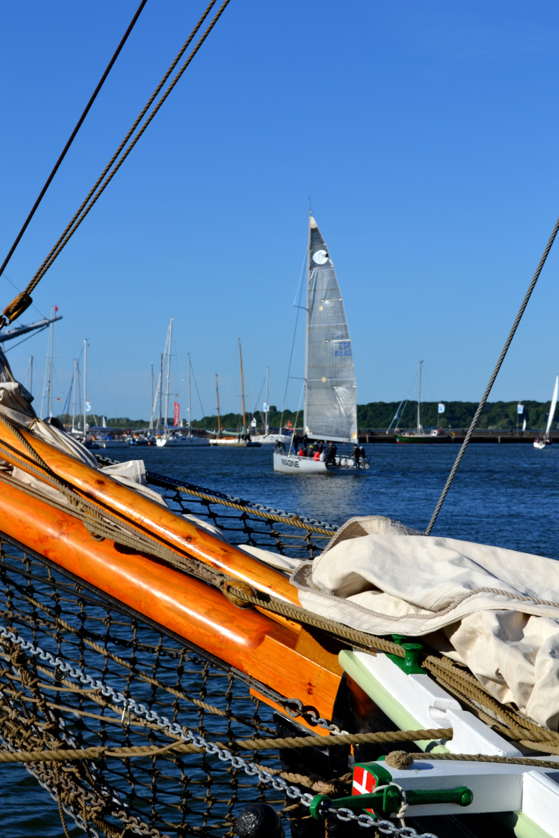 20110601_180742_nf.jpg