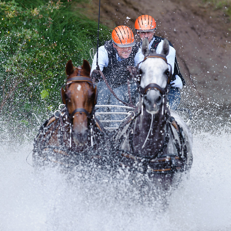20110723 9258 [NIKON D3] 200 mm,1 1000 Sek. bei ƒ   4,0