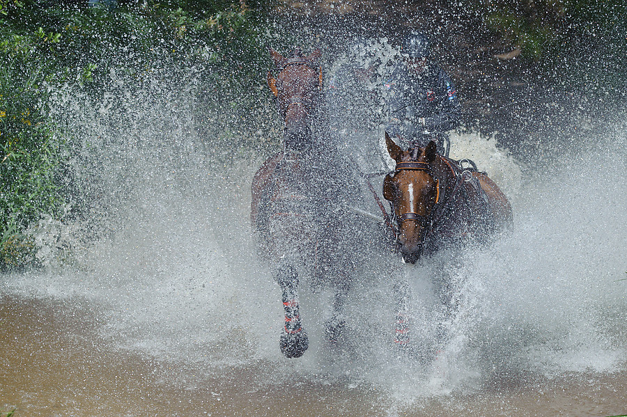 20110723 9412 [NIKON D3] 116 mm,1 4000 Sek. bei ƒ   4,0
