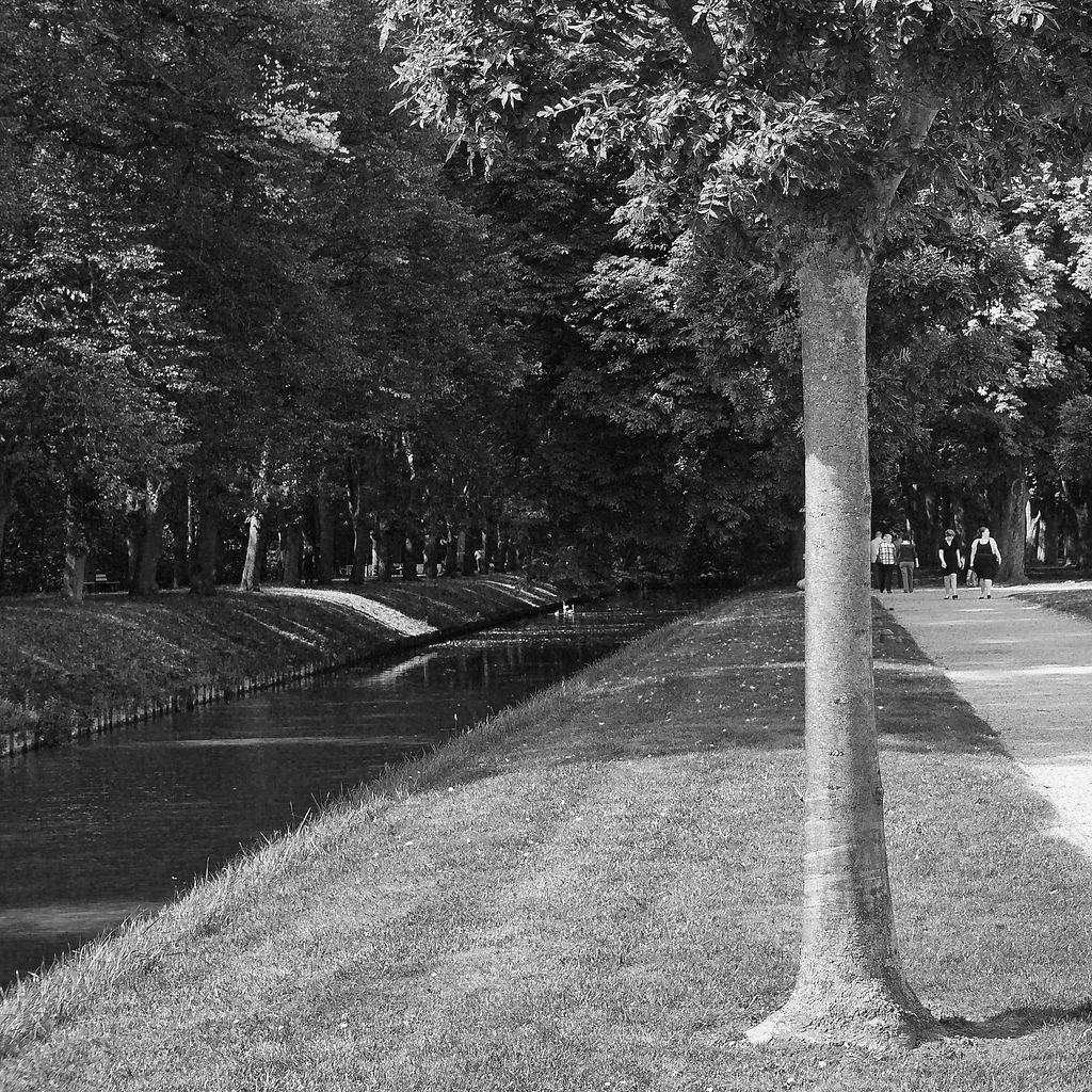 20110813 1070703 [DMC G1] ,1 400 Sek.