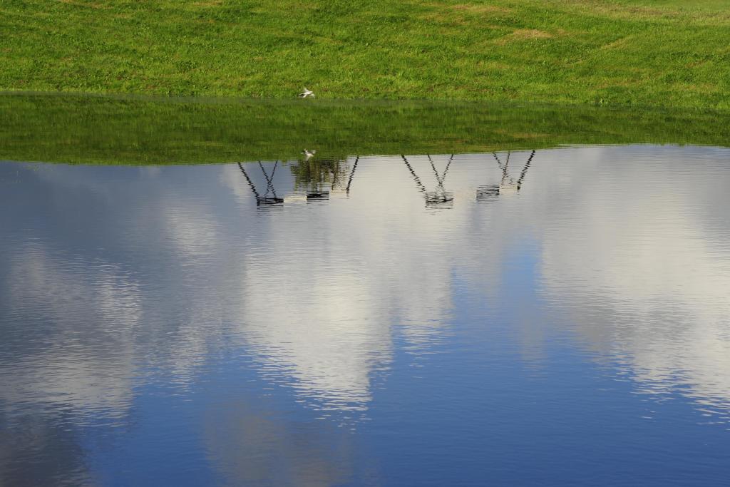 20110919 1726  DSC1712