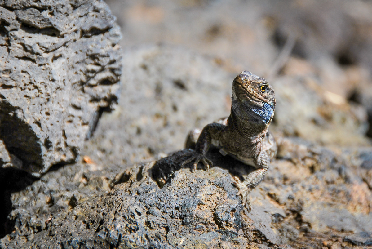 20110926-DSC_0180.jpg