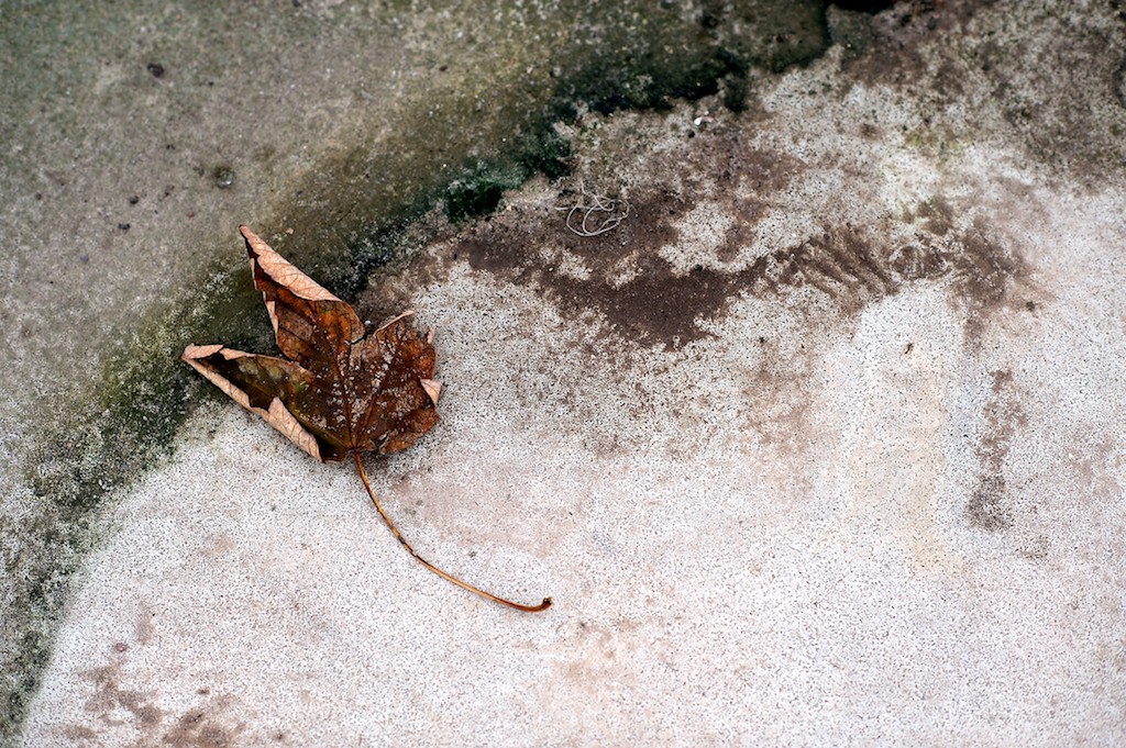 20111028 0017