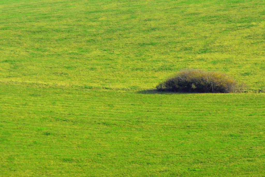 20111106 1251  DSC2135