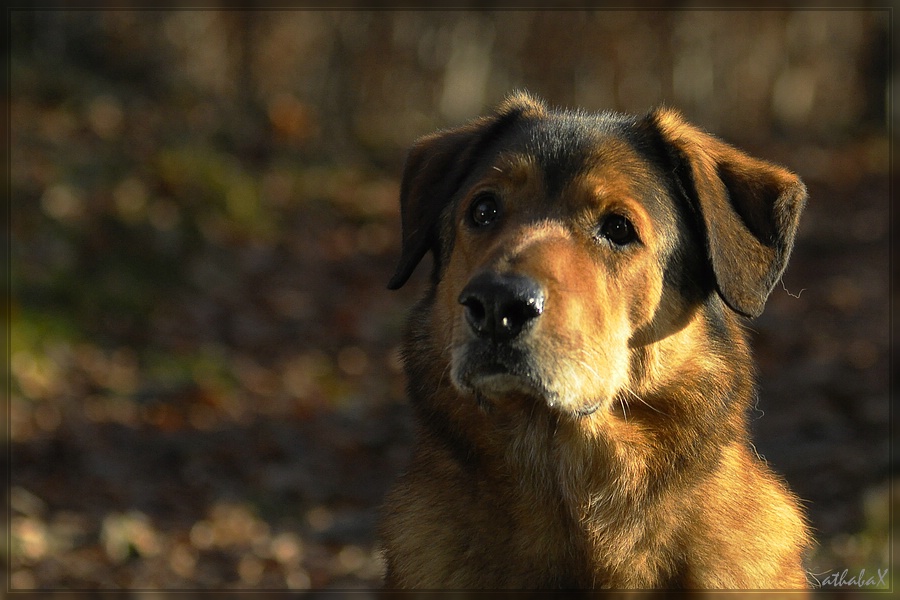 20111113 208 2 comp