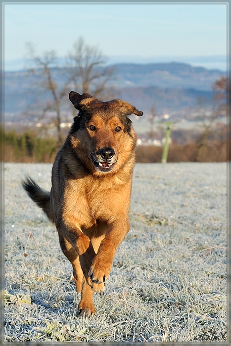 20111118 989 4 comp