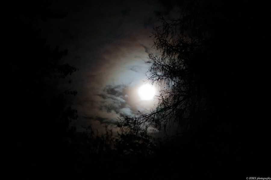 20111208 Mond