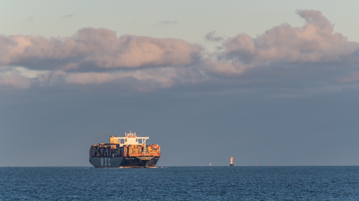201129 MS Rionja-1.jpg