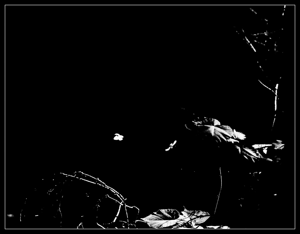 2012 02573