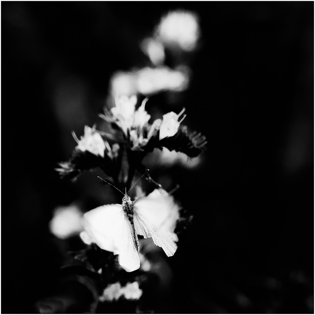 2012 02682sw
