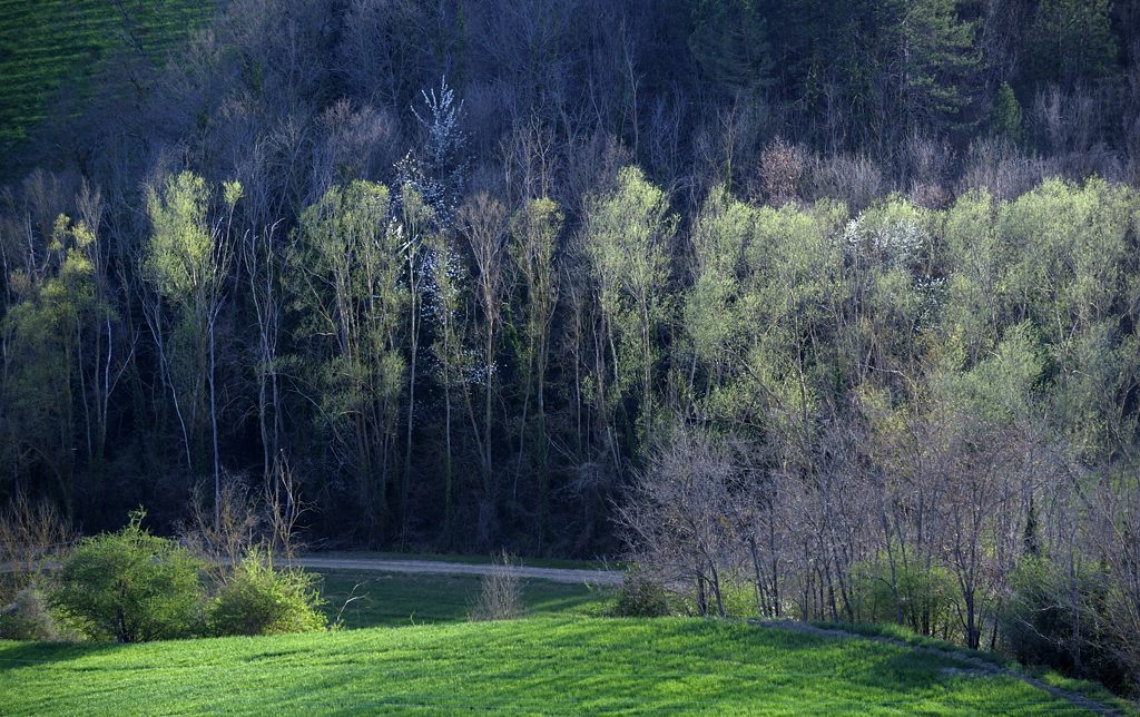 2012 03 27 175220 web