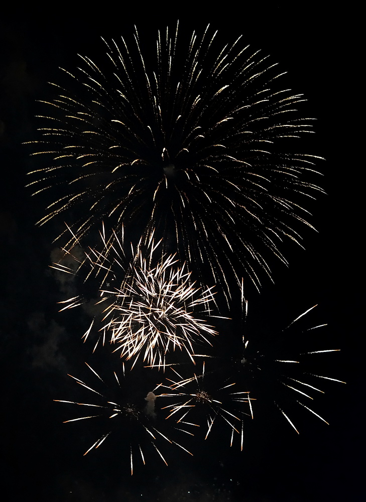 2012 08 Rhein in Flammen Koblenz DSF 6741 klein