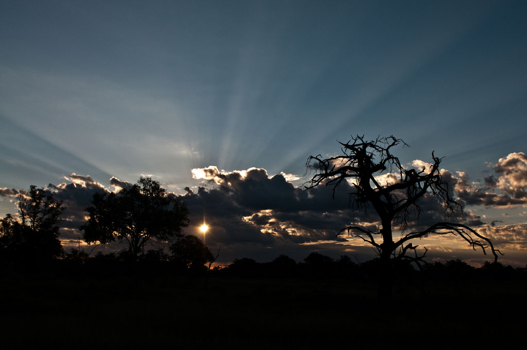 2012 Botswana-Sambia Fotoreise / Workshop mit Stefano Levi