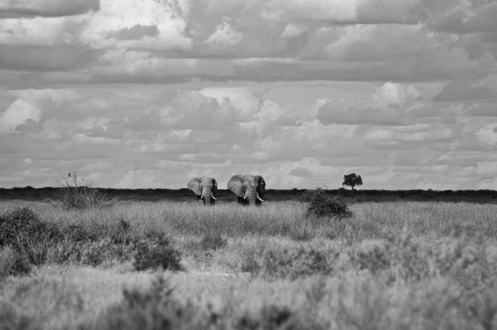 2012 Botswana-Sambia Fotoreise / Workshop mit Stefano Levi