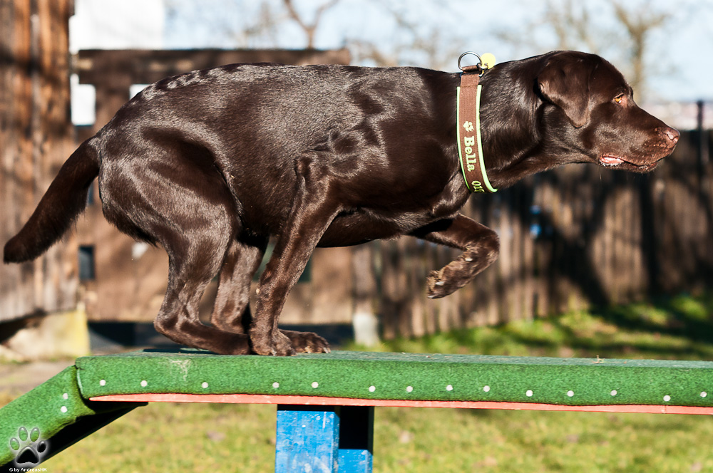 20120103 DSC 7344